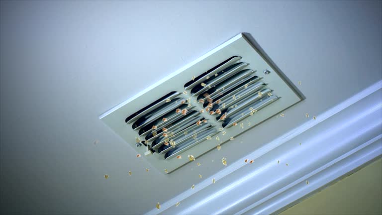 Best Professional Duct Cleaning Services  in Red Oak, IA