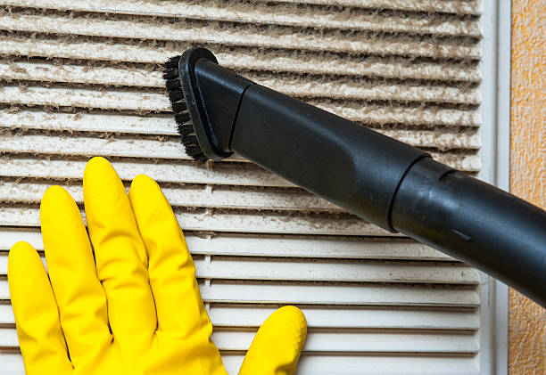 Best Air Duct Mold Removal  in Red Oak, IA
